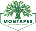 Montapex-Concept